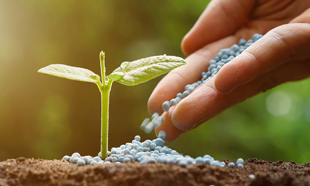 آشنایی با کود NPK 10:52:10+TE